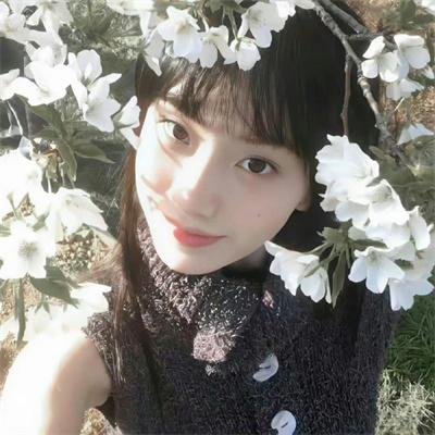 少年包青天第一部